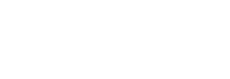 BluVegas logo
