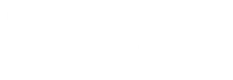 BluVegas logo