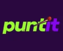 Puntit logo