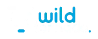 Wild Tornado logo